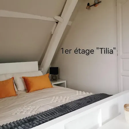 La Coticia 2 Coutiches