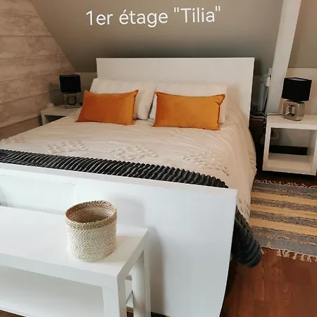 La Coticia 2 Отель типа 