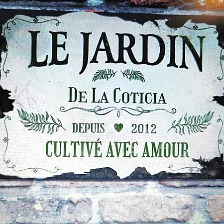 La Coticia En Pevele Coutiches